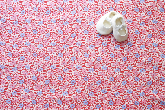 USPシュガーデイジー